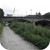 Comblain au pont